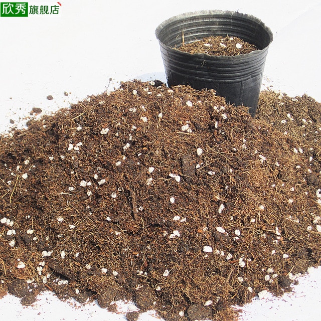 640x640 yan xiu xian succulents plants with soil nutrient soil drawing - Soil Drawing