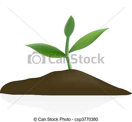 450x415 young plant in dark soil isolated on white background - Soil Drawing