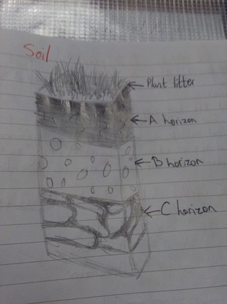 320x427 soil drawings on paigeeworld pictures of soil - Soil Drawing