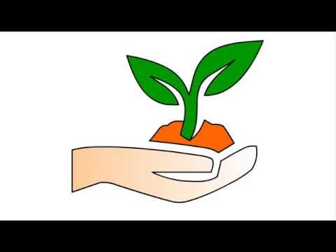 480x360  - Soil Drawing