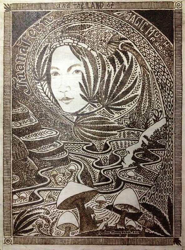 593x800 solar drawings made with a magnifying glass - Solar Drawing