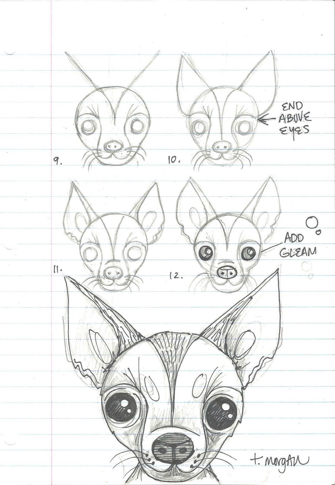 1107x1600 chihuahua drawing sombrero drawing for free download - Sombrero Drawing