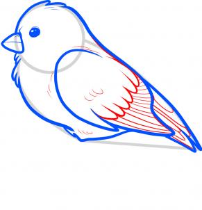 291x302 how to draw a songbird, songbirds, step - Songbird Drawing