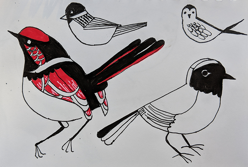 800x539 linsart songbird drawings - Songbird Drawing