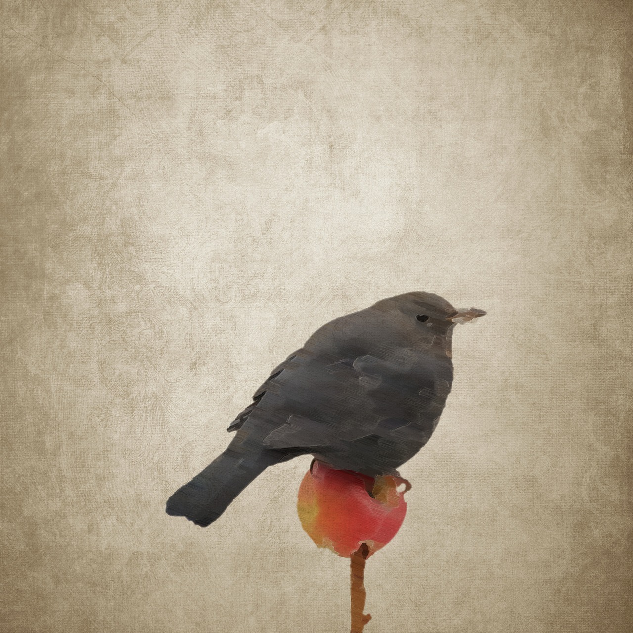 1280x1280 bird, blackbird, apple, songbird, drawing - Songbird Drawing
