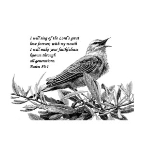 300x300 songbird drawing with scripture drawing - Songbird Drawing