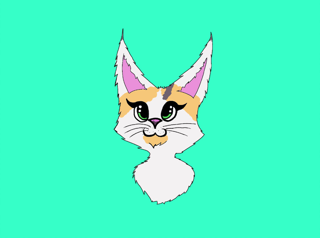 1024x760 Sophia Drawing - Sophia Drawing