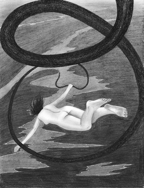 491x639 New Sophia Drawing David Hayward - Sophia Drawing