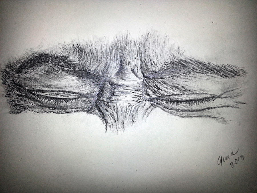 900x675 Pain And Sorrow Drawing - Sorrow Drawings