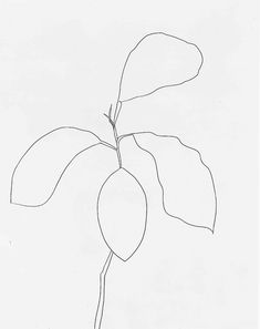 235x297 best sound drawing images abstract art, contemporary art - Sound Drawing