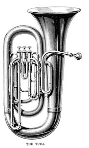 182x300 Tuba Drawings Fine Art America - Sousaphone Drawing