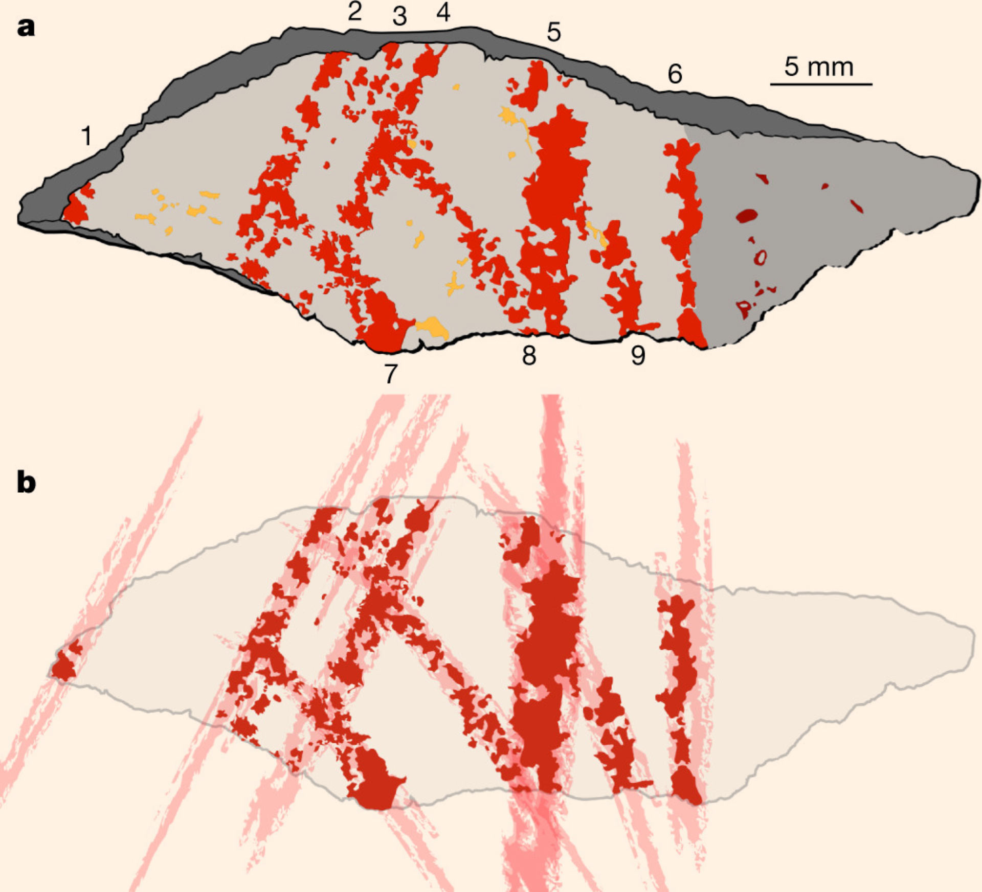 1920x1745 Earliest Known Drawing - South Africa Drawing