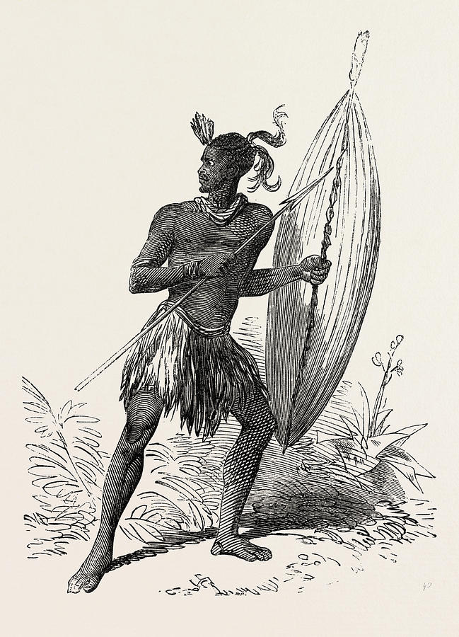 649x900 zulu warrior, kaffraria, south africa drawing - South Africa Drawing