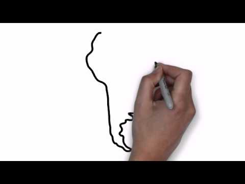 480x360 how to draw map of south america - South America Drawing