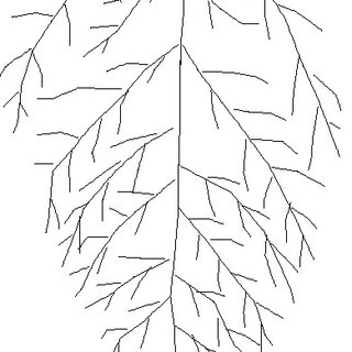 320x320 pdf research on techniques for accurate modeling of soybean leaf - Soybean Drawing