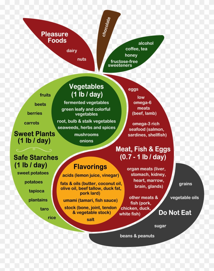 880x1112 soybean drawing soya bean clipart - Soybean Drawing