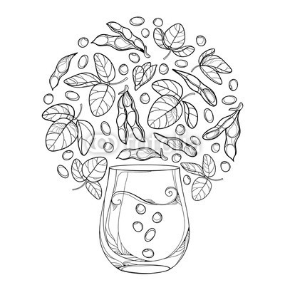 400x400 vector outline glass of soy milk and bunch of soybean pod - Soybean Drawing