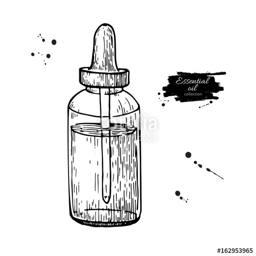 500x500 essential oil glass bottle hand drawn vector illustration - Spa Drawing