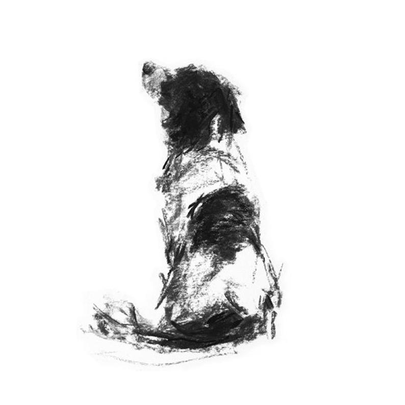 794x794 dog drawing print springer spaniel portrait fine art dog etsy - Spaniel Drawing