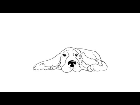 480x360 how to draw a cocker spaniel - Spaniel Drawing
