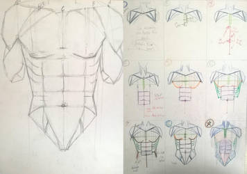 356x250 Drawing Torso Practice - Spark Drawing