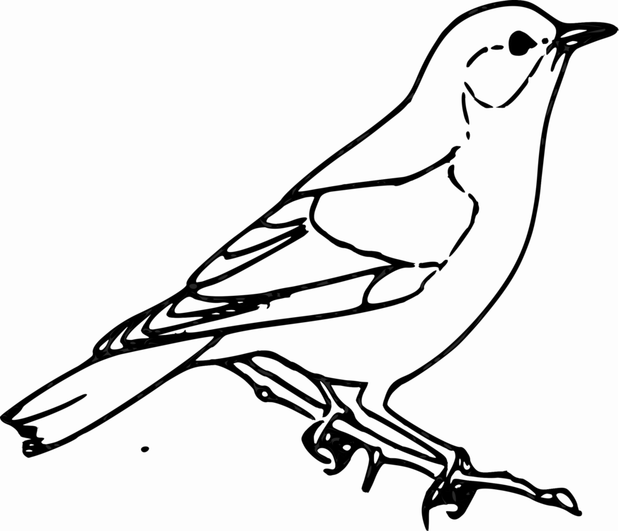 874x750 house sparrow bird black and white drawing cc0 - Sparrow Bird Drawing