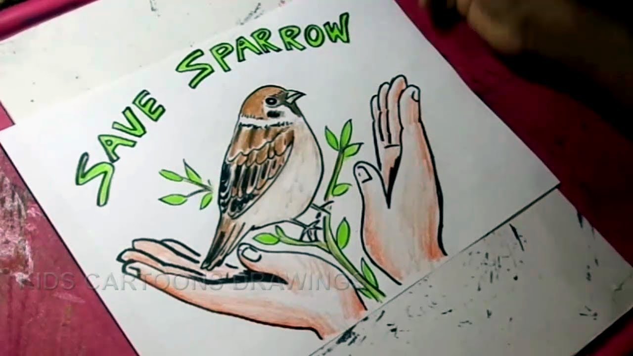 1280x720 How To Draw Save Sparrows Save Nature Drawing For Kids - Sparrow Bird Drawing