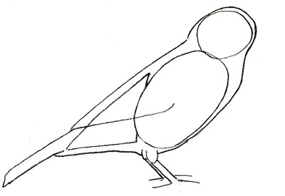 400x275 how to draw a sparrow - Sparrow Bird Drawing