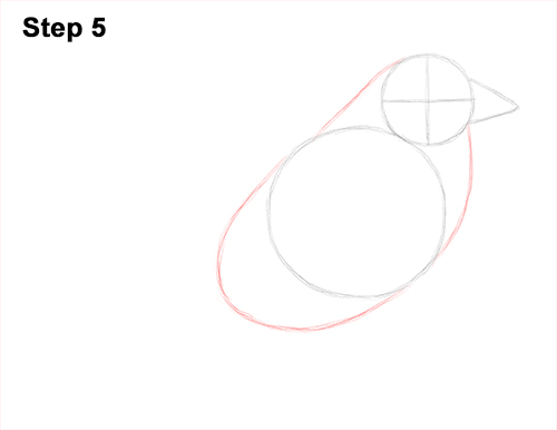 500x386 how to draw a sparrow - Sparrow Bird Drawing