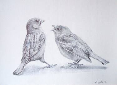 375x275 Birds Drawing - Sparrow Bird Drawing
