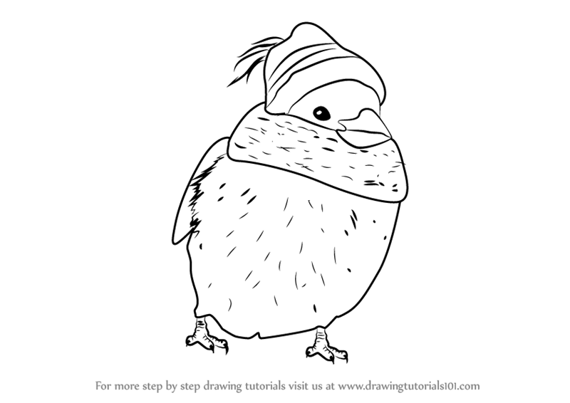 800x566 Learn How To Draw Sparrow With Scarf - Sparrow Drawing