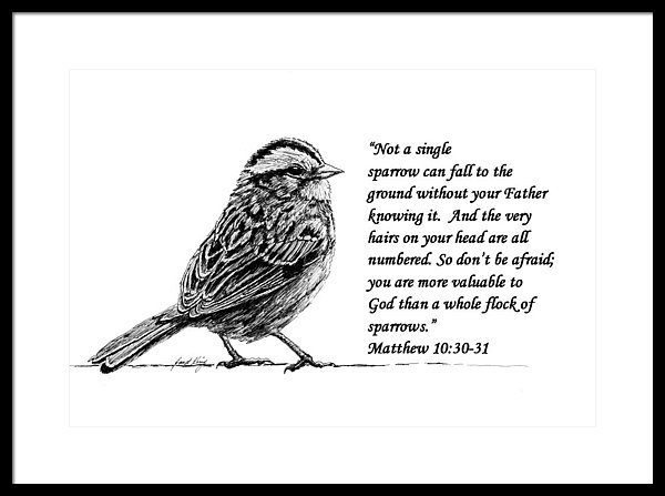 600x447 Sparrow Drawing With Scripture Framed Print - Sparrow Drawing