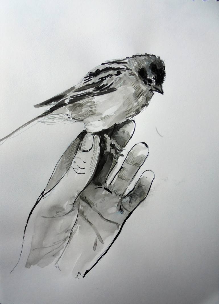 770x1066 Sparrow Drawing - Sparrow Drawing