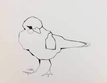 375x292 The Sparrow Drawing - Sparrow Drawing