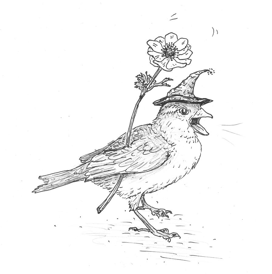 895x900 The Sparrow Witch Drawing - Sparrow Drawing