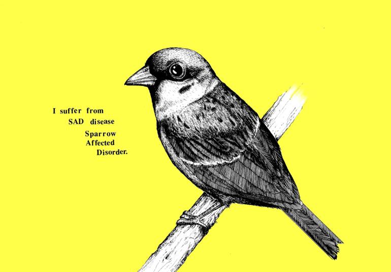 770x535 Sparrow Drawing - Sparrow Drawing