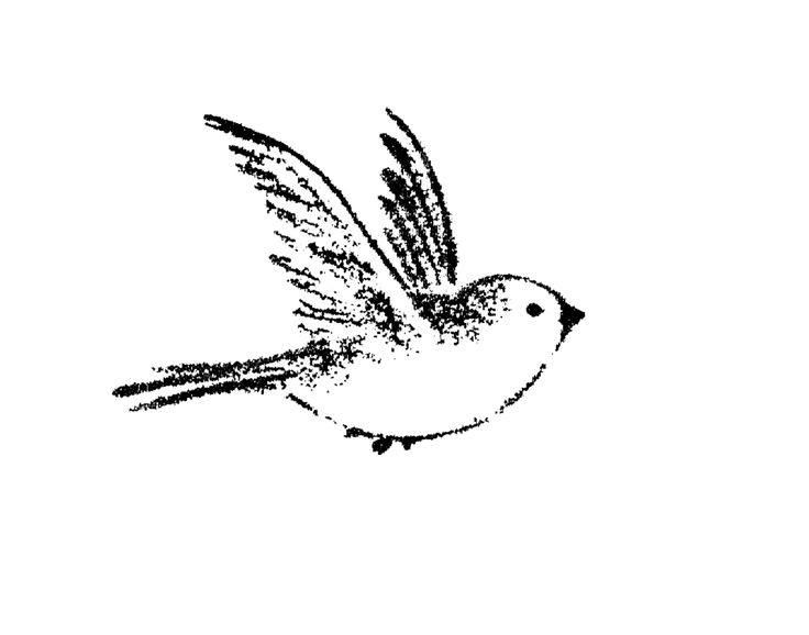 736x578 Drawn Sparrow Sparrow Nest - Sparrow Flying Drawing