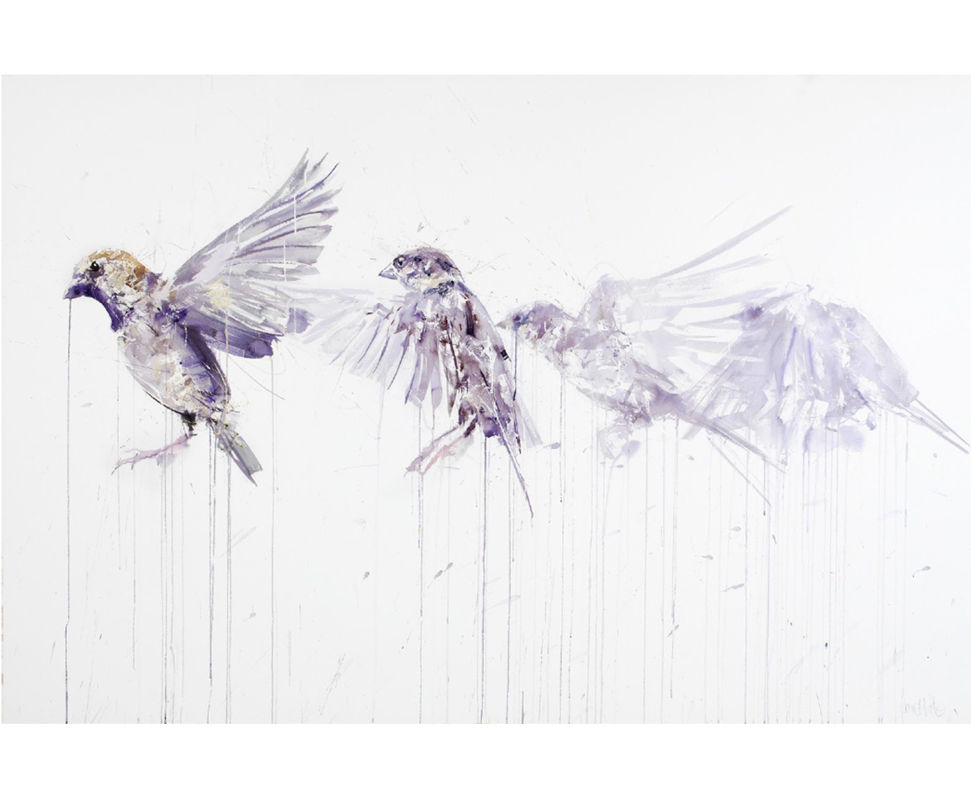 Sparrow Flying Drawing at PaintingValley.com | Explore collection of ...