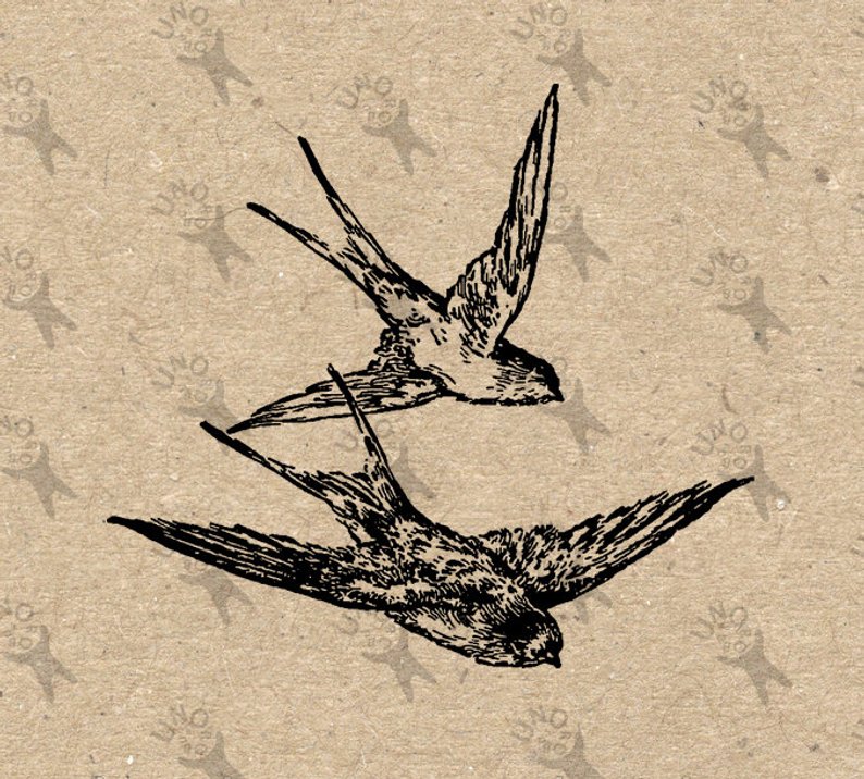 794x716 Vintage Flying Birds Swallow Sparrow Martlet Image Instant Etsy - Sparrow Flying Drawing