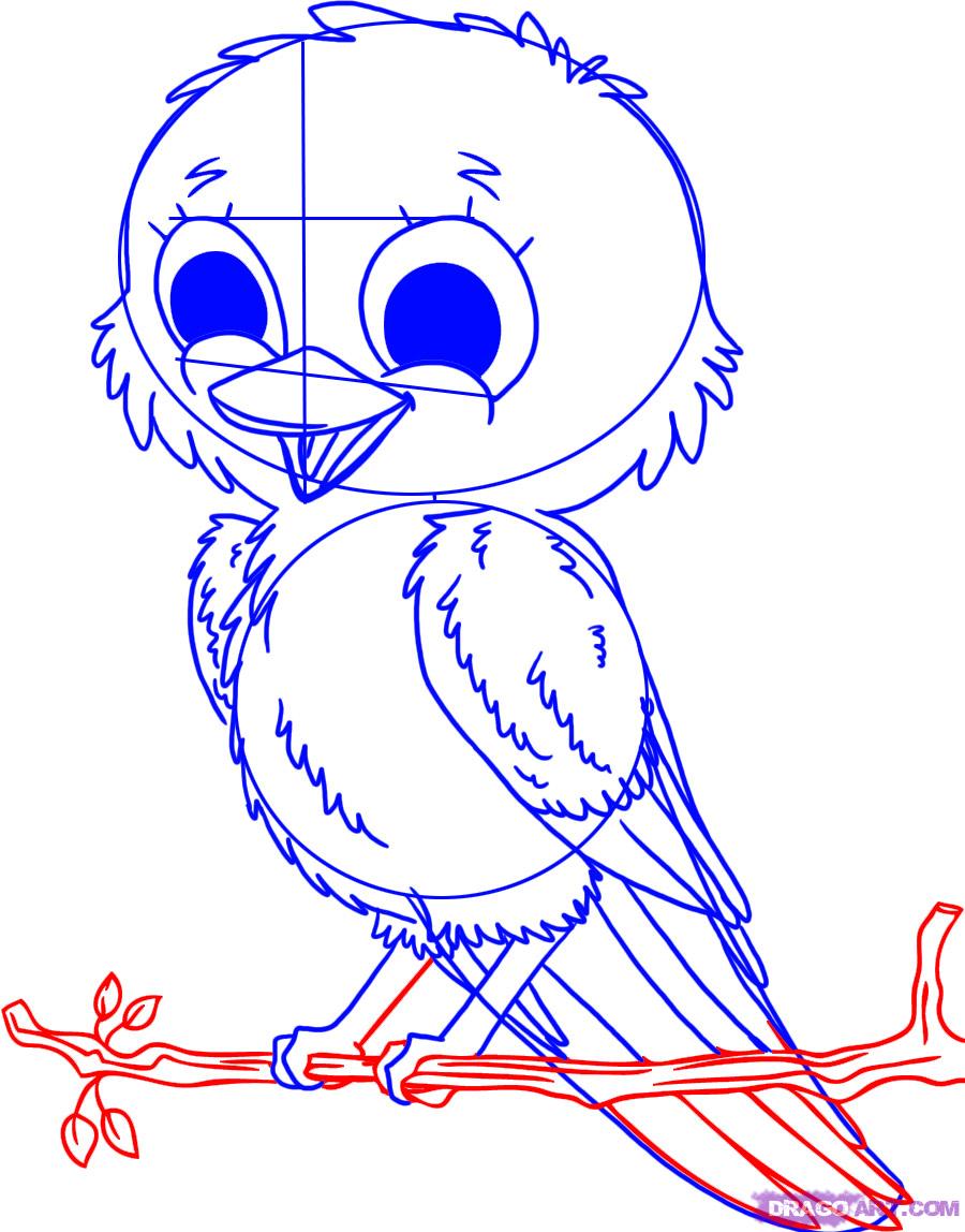 900x1148 Drawn Sparrow Line Drawing - Sparrow Line Drawing