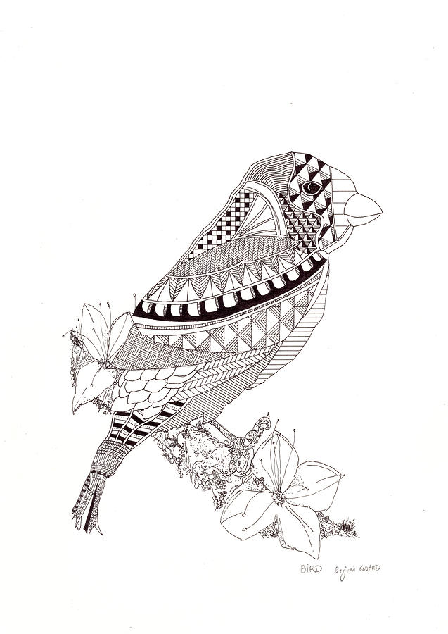 637x900 Moineau Sparrow Drawing - Sparrow Line Drawing