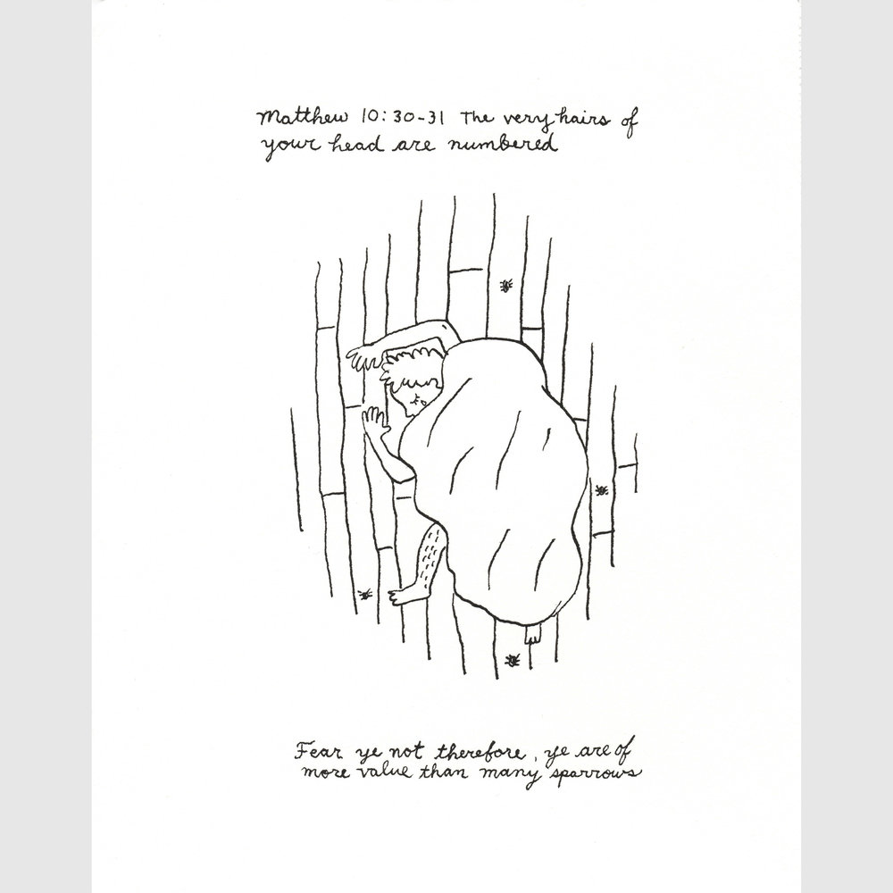 1000x1000 my little sparrow original drawing click for details annie poon - Sparrow Line Drawing