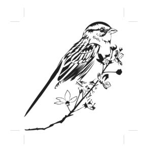 292x300 Redeemed Ministries - Sparrow Line Drawing