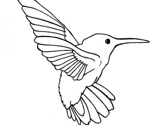 640x480 Sparrow Clipart Line Drawing - Sparrow Line Drawing