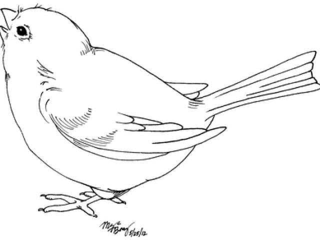 640x480 Sparrow Clipart Line Drawing - Sparrow Line Drawing