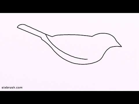 480x360 E How To Draw Sparrow Easy For Beginners Step - Sparrow Line Drawing