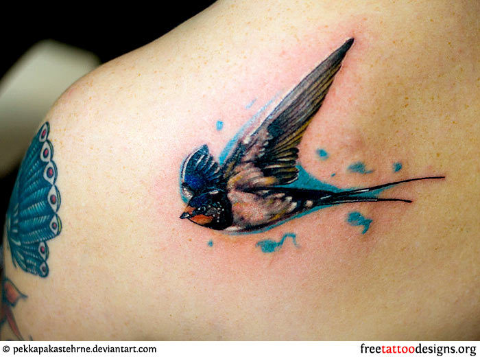 700x526 Meaning And Pictures Of Swallow Tattoo Designs - Sparrow Tattoo Drawing