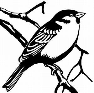 300x298 sparrow tattoos lovetoknow - Sparrow Tattoo Drawing