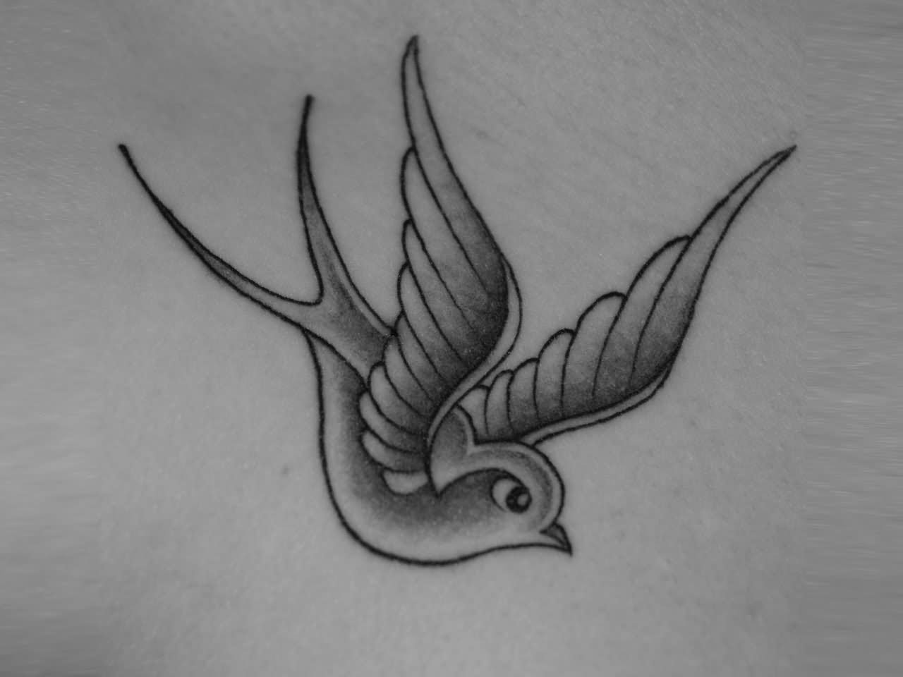 1280x960 Latest Sparrow Tattoo Designs - Sparrow Tattoo Drawing