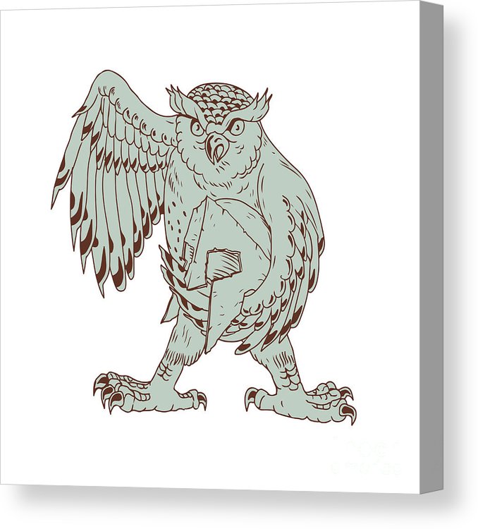 678x750 Owl Holding Spartan Helmet Drawing Canvas Print Canvas Art - Spartan Drawing